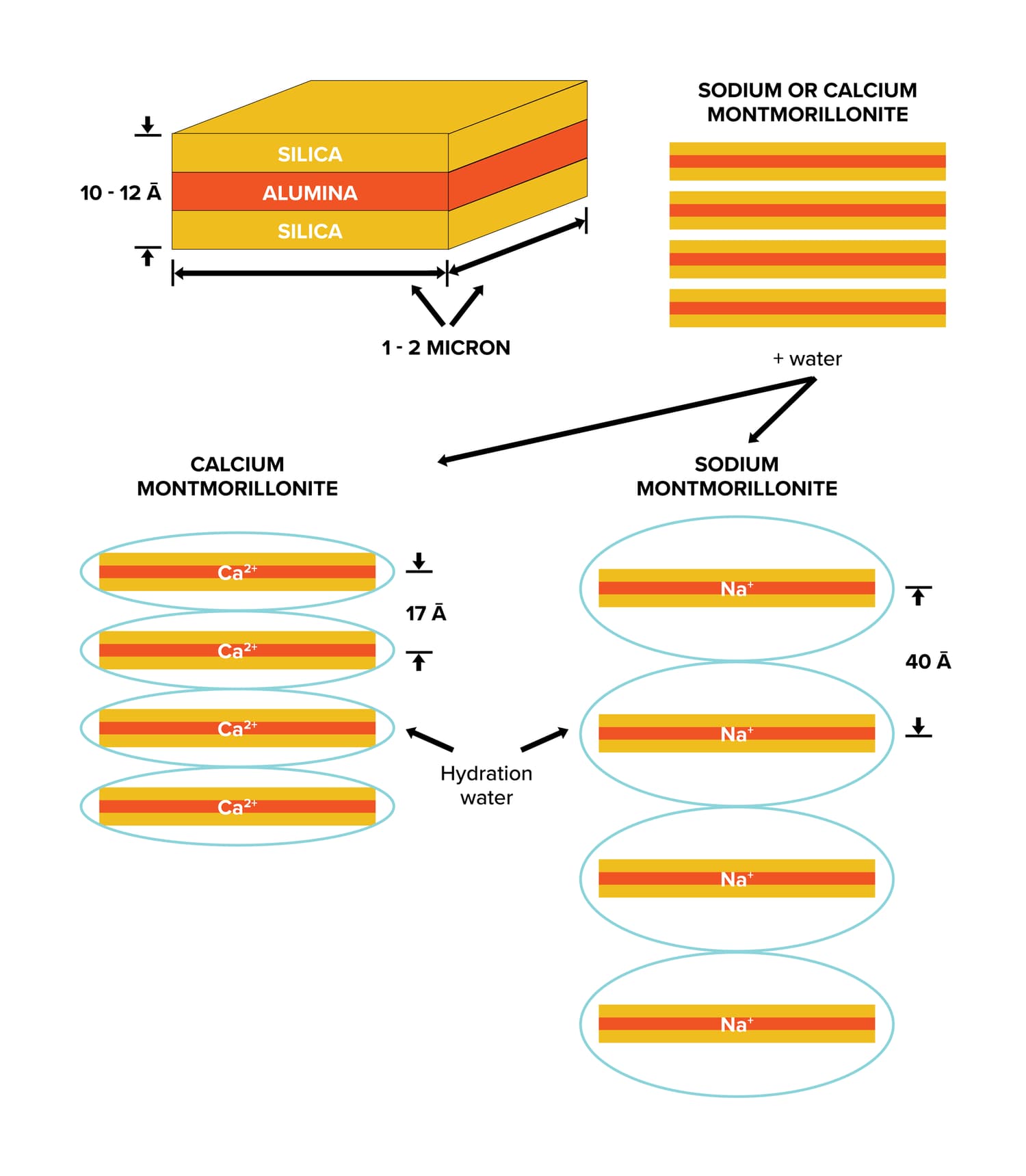 Blick sodium versus calcium bentonite comparison